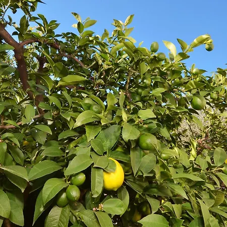 Mavarstica 16215b Apartment