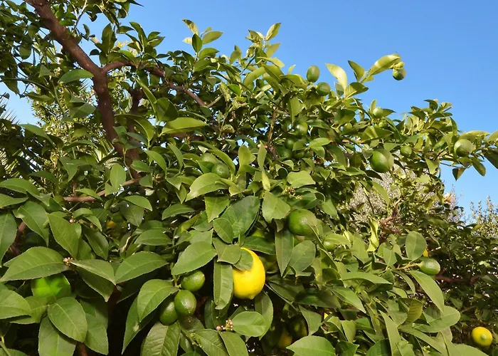 Mavarstica 16215b Apartment